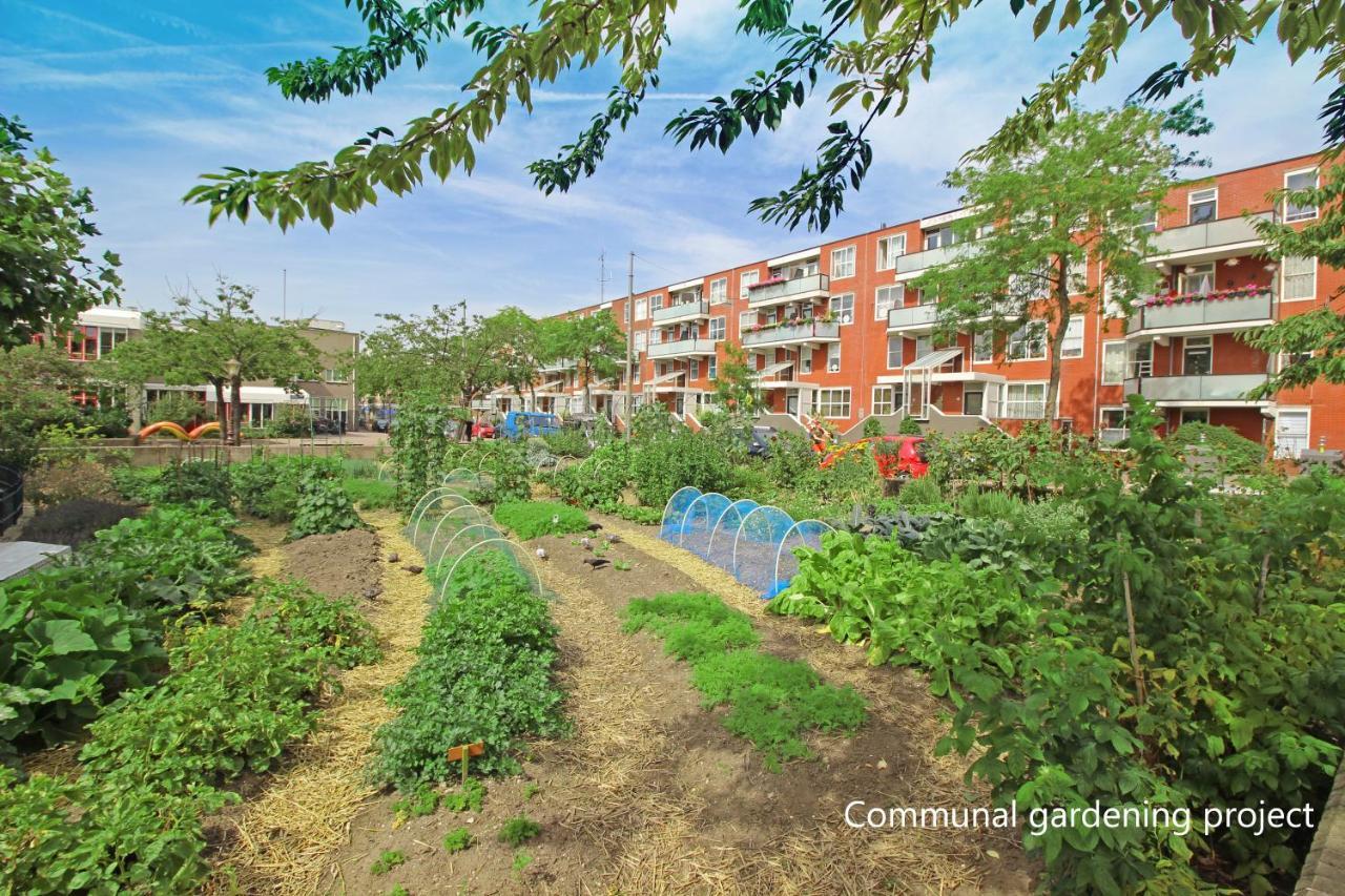 New Monumental Garden View Studio Amsterdam Rum bild